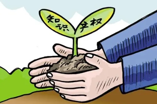<b>版權(quán)登記流程，辦理版權(quán)登記到哪里？</b>